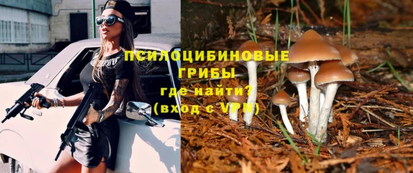 СК Вяземский