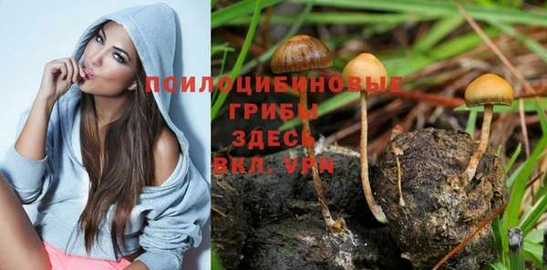 гашиш Вязьма