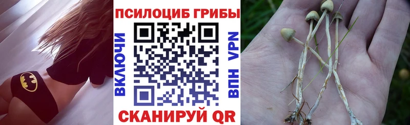 Галлюциногенные грибы Psilocybe Фатеж